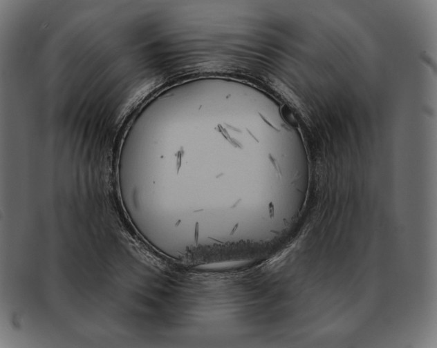 X0000092330930200710121531