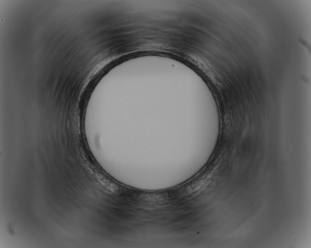X0000092330931200710121531