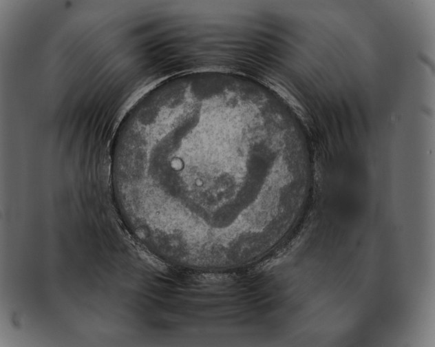 X0000092330933200710121531