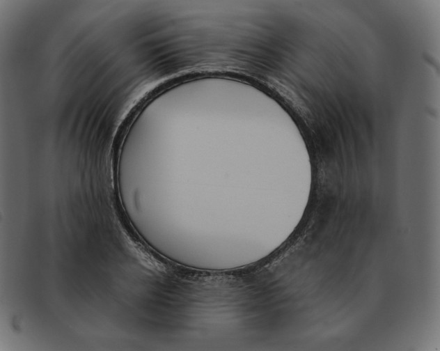 X0000092330934200710121531