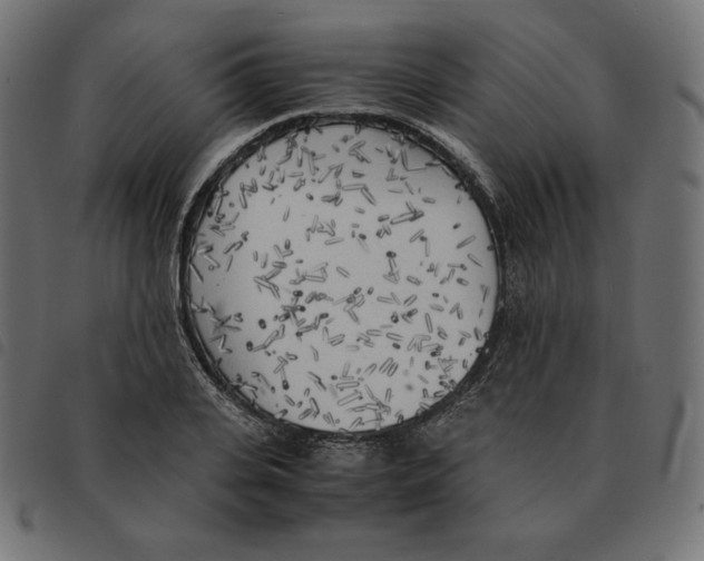 X0000092330935200710121531