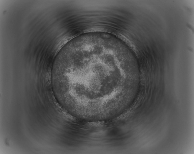 X0000092330937200710121531