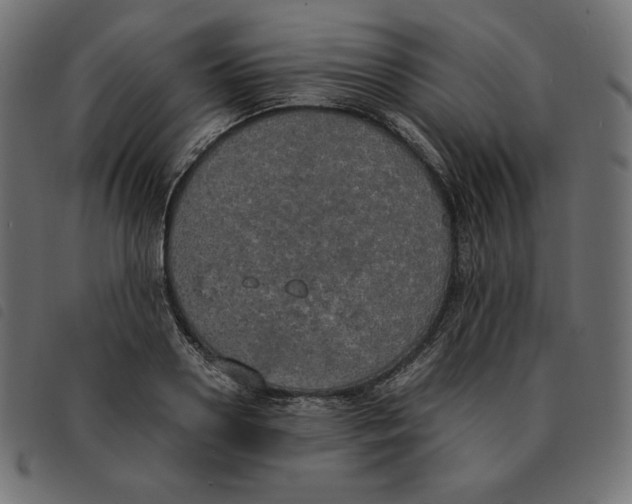 X0000092330938200710121531