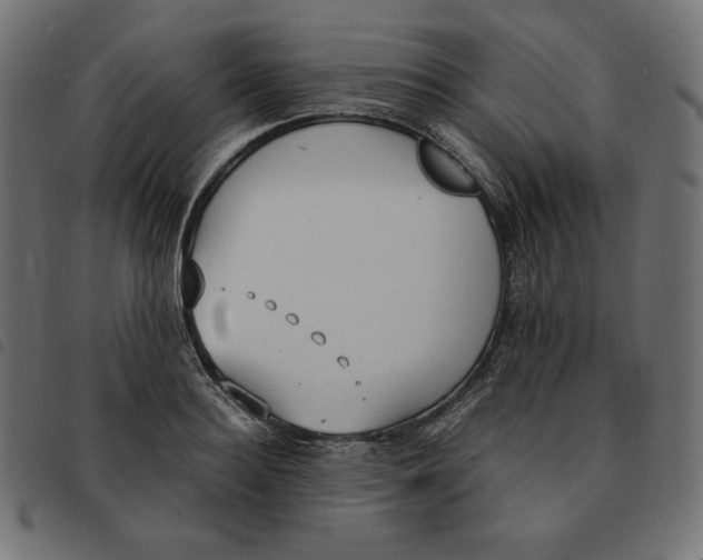 X0000092330940200710121531