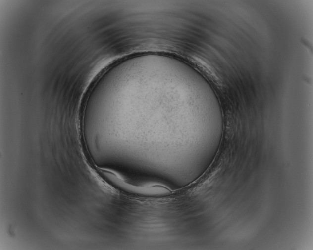 X0000092330942200710121531