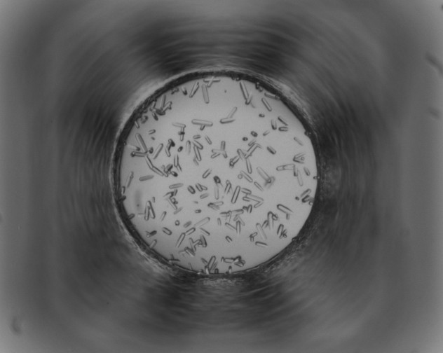 X0000092330943200710121531