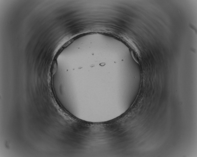 X0000092330944200710121531