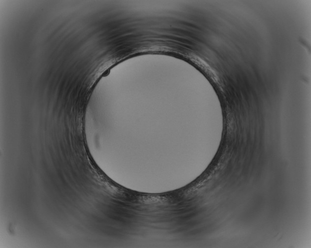 X0000092330945200710121531