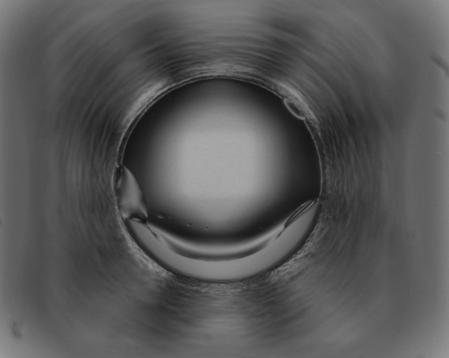 X0000092330946200710121531