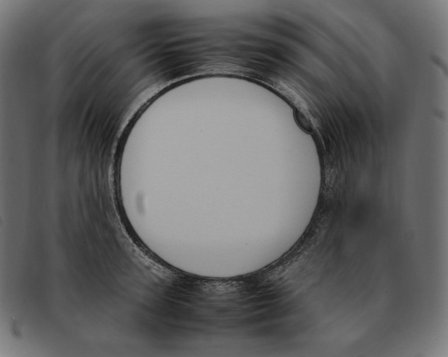 X0000092330947200710121531