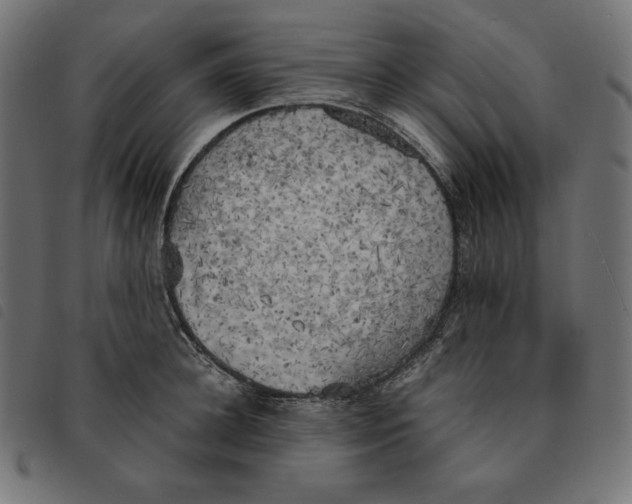 X0000092330948200710121531