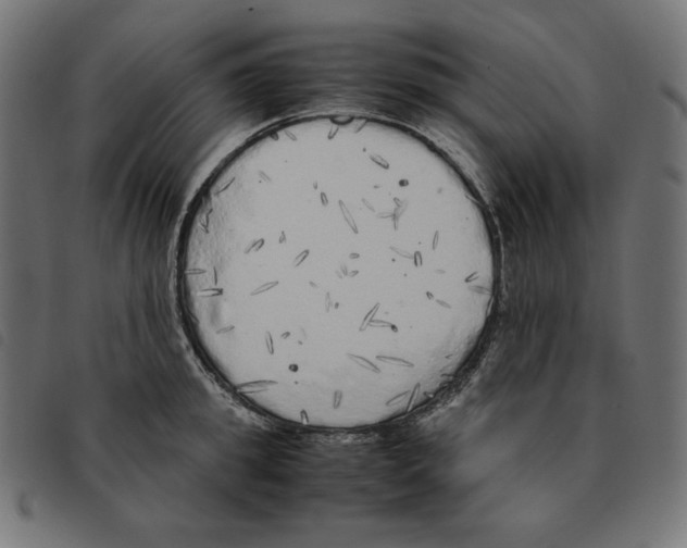 X0000092330949200710121531