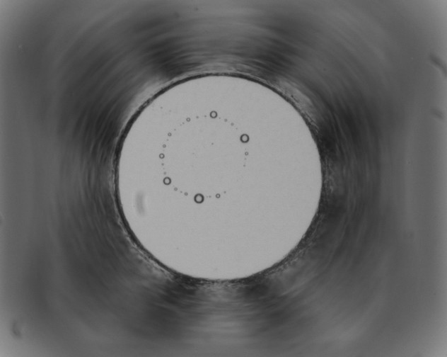 X0000092330950200710121531