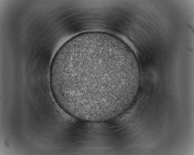 X0000092330951200710121531