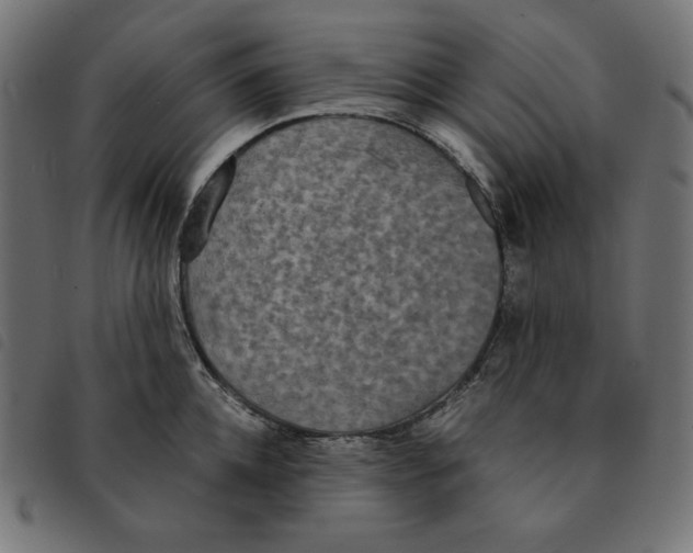 X0000092330952200710121531