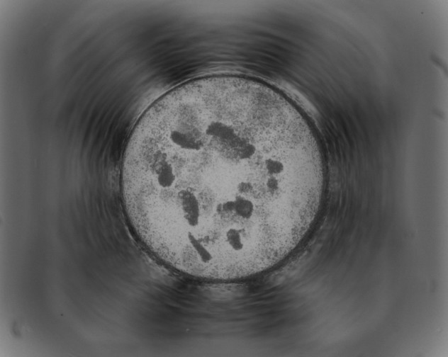 X0000092330953200710121531