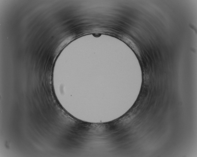 X0000092330954200710121531