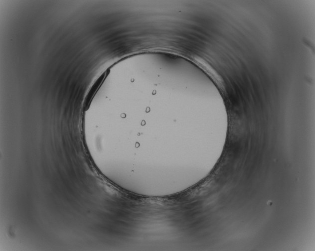 X0000092330956200710121531