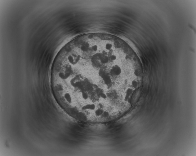 X0000092330957200710121531