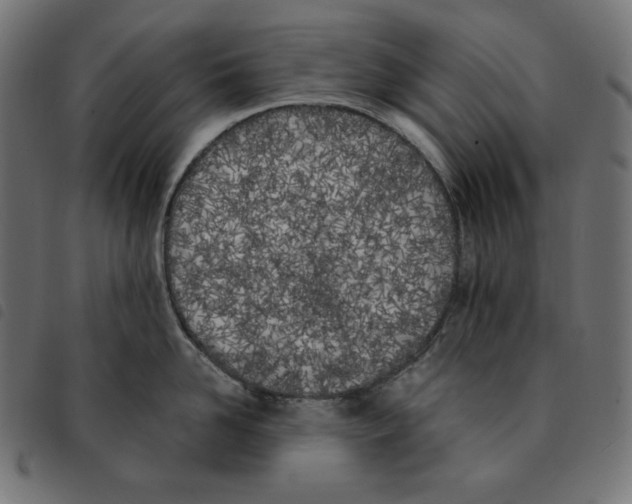 X0000092330958200710121531