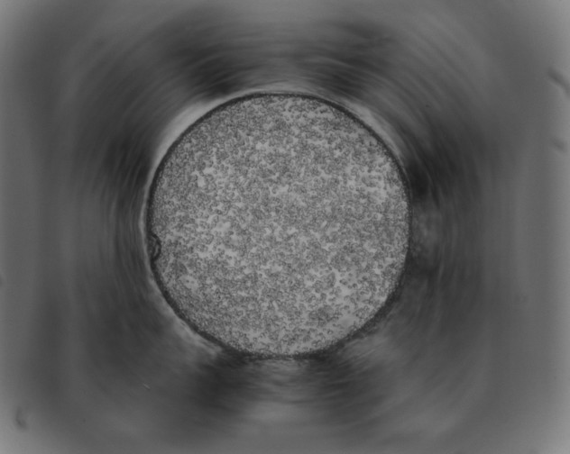 X0000092330959200710121531