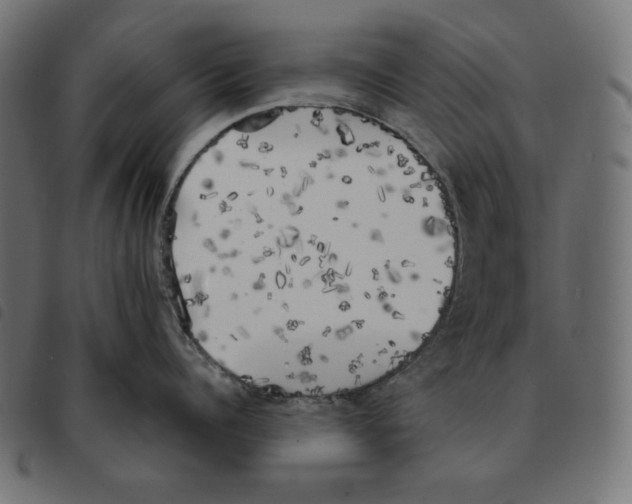 X0000092330960200710121531