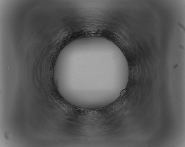 X0000092330961200710121530