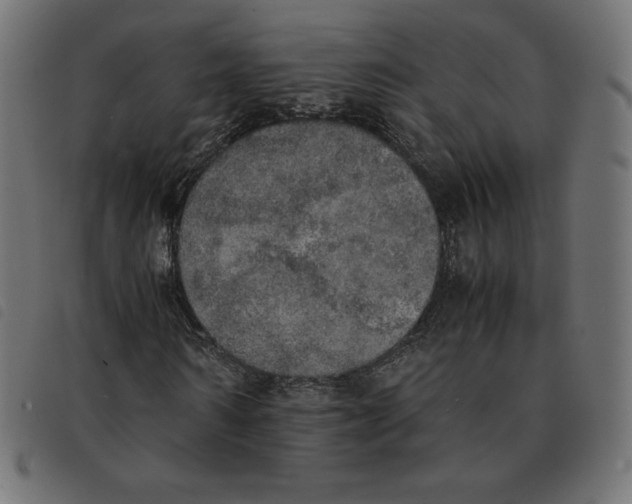 X0000092330962200710121530