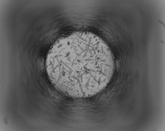 X0000092330963200710121530