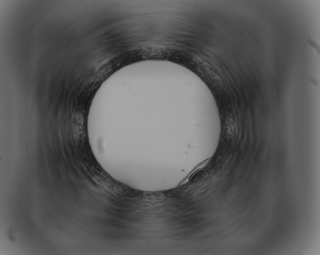 X0000092330964200710121530
