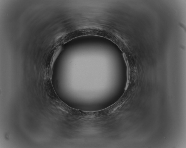 X0000092330965200710121530