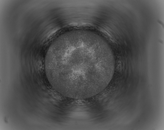 X0000092330966200710121530