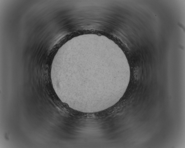 X0000092330968200710121530