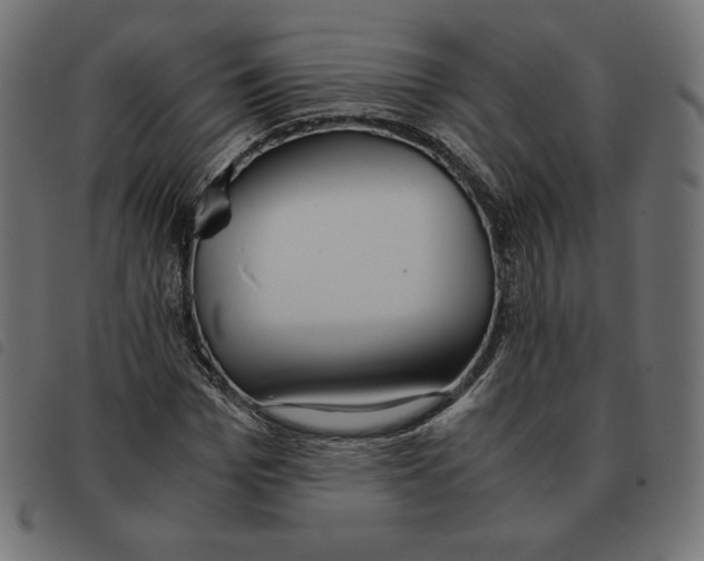 X0000092330969200710121530