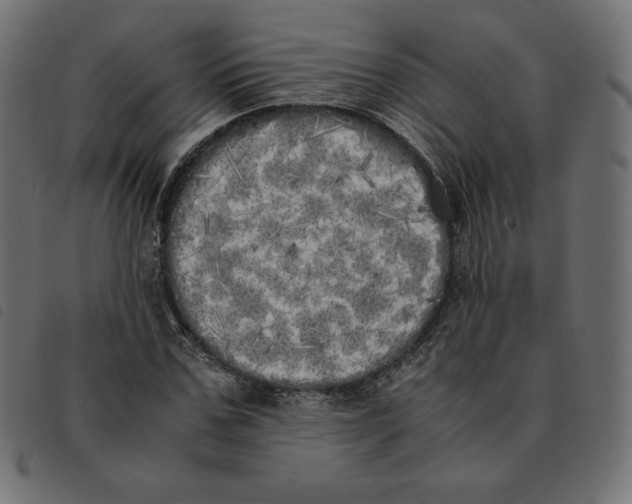 X0000092330971200710121530