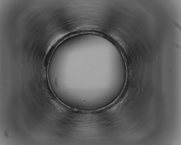 X0000092330973200710121530