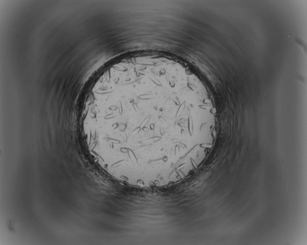 X0000092330975200710121530