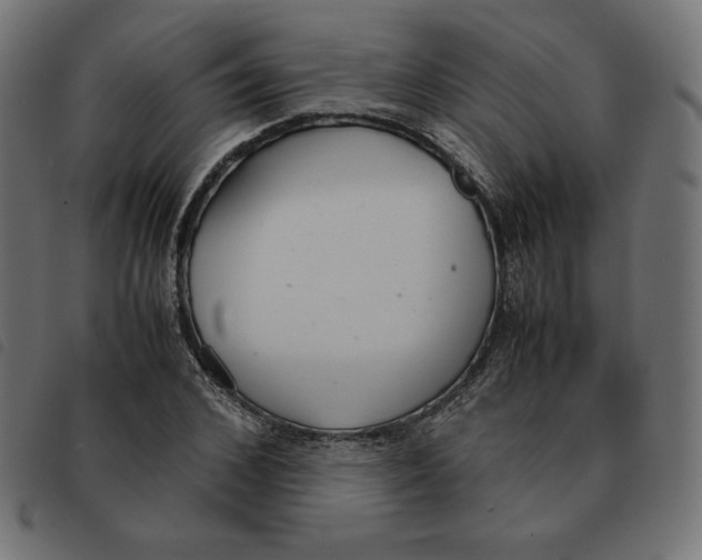X0000092330976200710121530