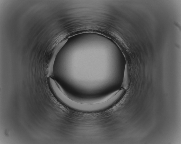 X0000092330977200710121530