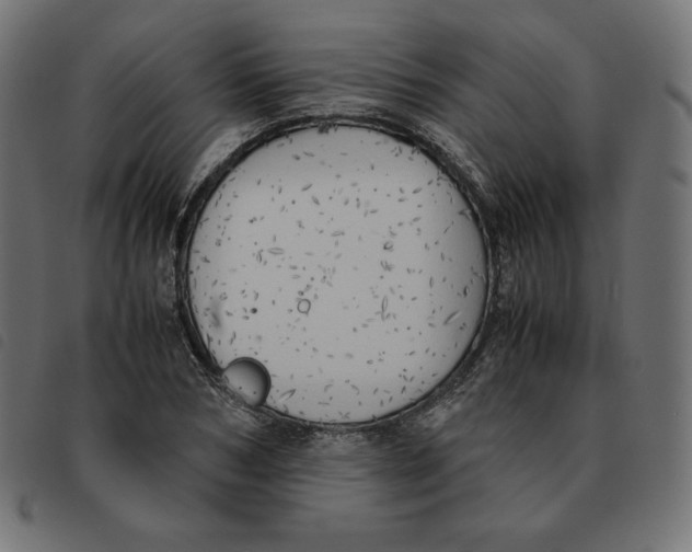 X0000092330978200710121530