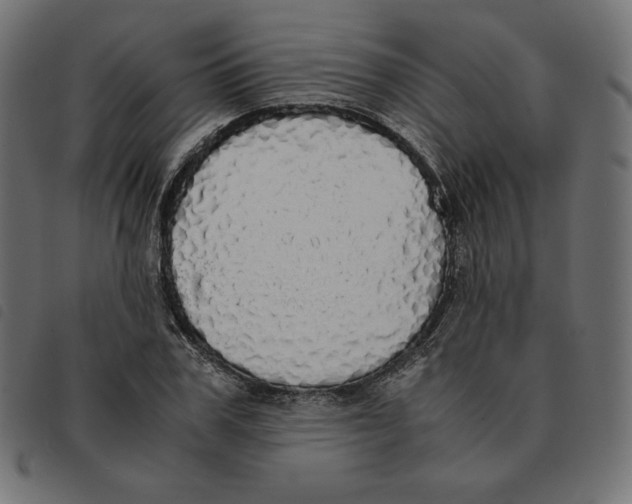 X0000092330979200710121530