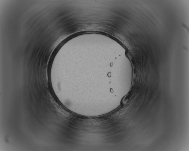 X0000092330980200710121530