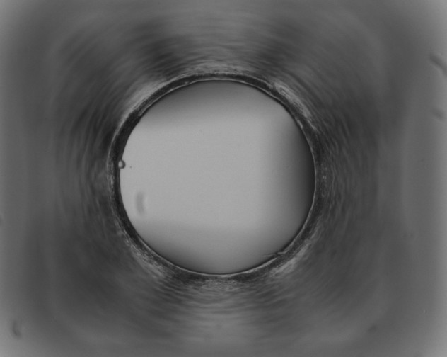 X0000092330981200710121530