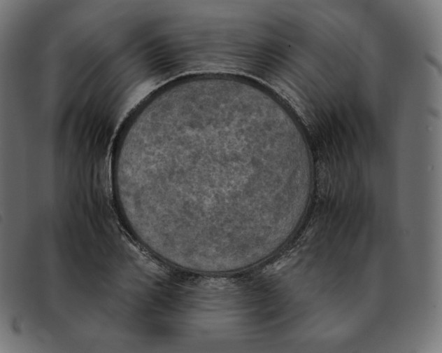 X0000092330982200710121530