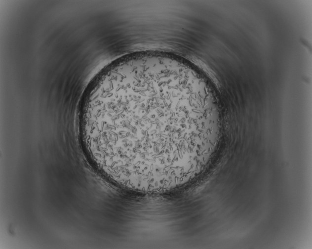 X0000092330983200710121530