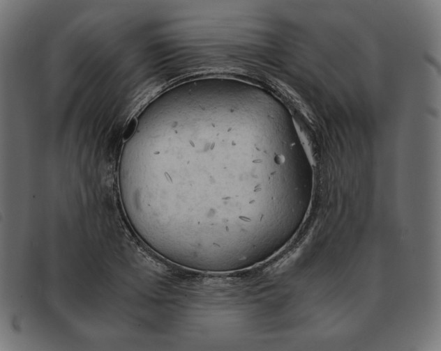 X0000092330985200710121530