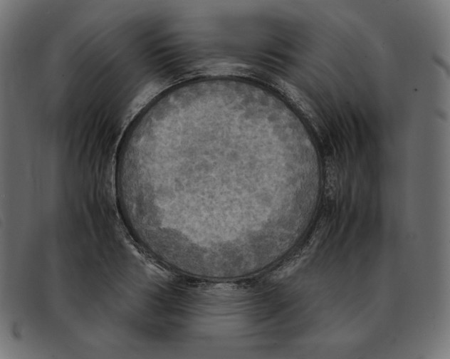 X0000092330986200710121530