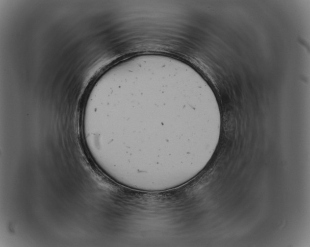 X0000092330987200710121530