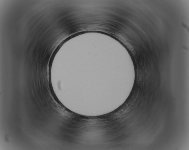 X0000092330988200710121530