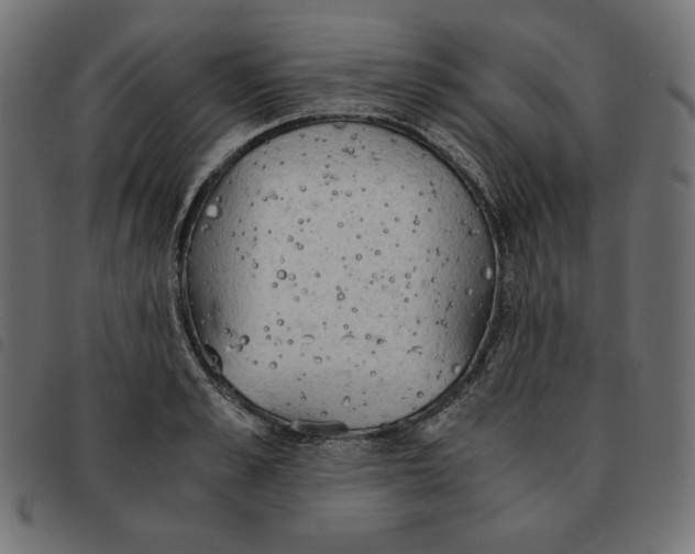 X0000092330989200710121530